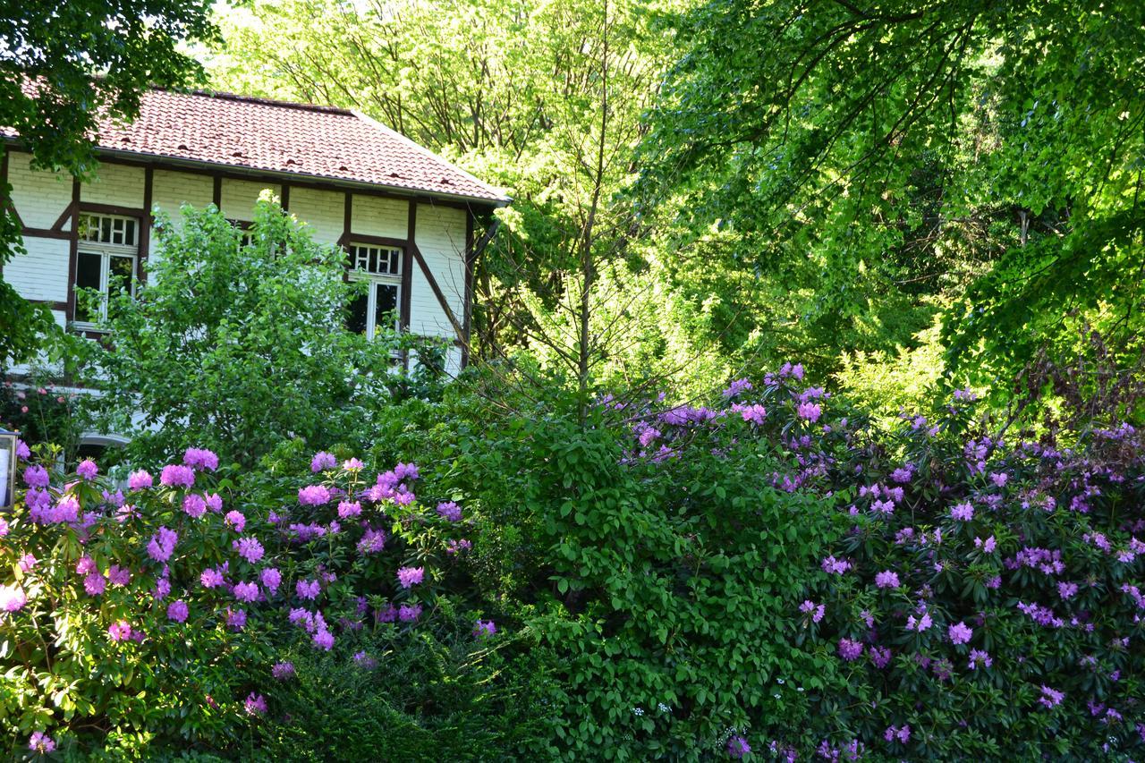 Hotel Gottesgabe Rheine Exterior foto